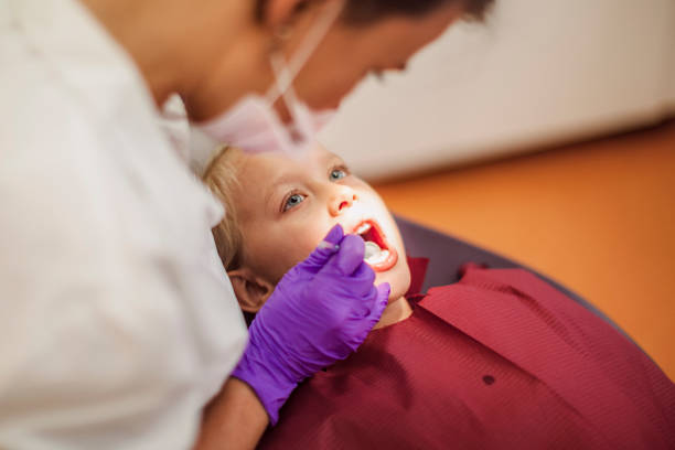 Best Emergency Dental Services for Seniors in Coal Valley, IL